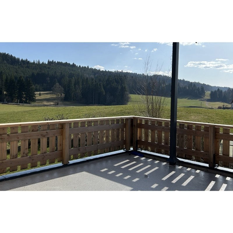 terrasse extérieur mélèze